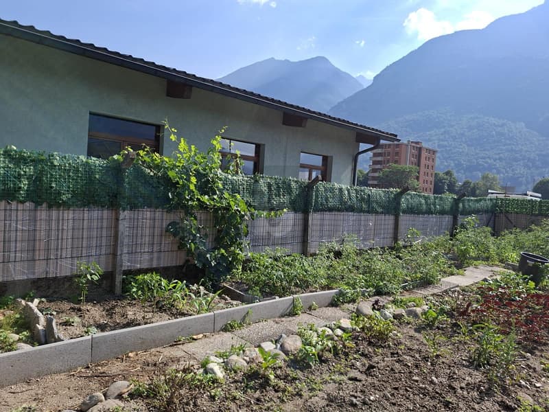 SOLEGGIATO E TRANQUILLO (3)