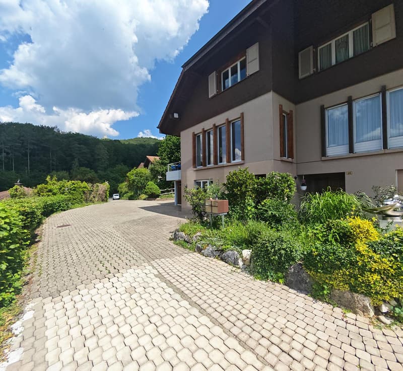 TRAUMAUSSICHT INS AARETAL (3)