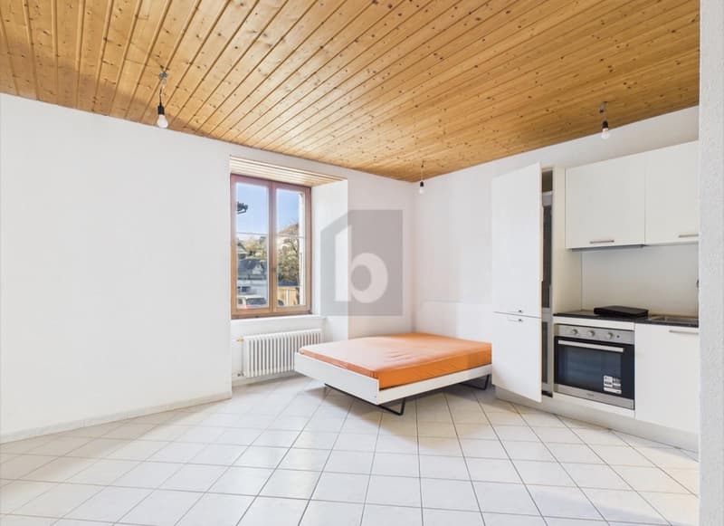 IMMEUBLE 5,4 % DE RENDEMENT 9 APPARTEMENTS 11 BOX (4)