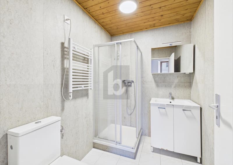 IMMEUBLE 5,4 % DE RENDEMENT 9 APPARTEMENTS 11 BOX (5)