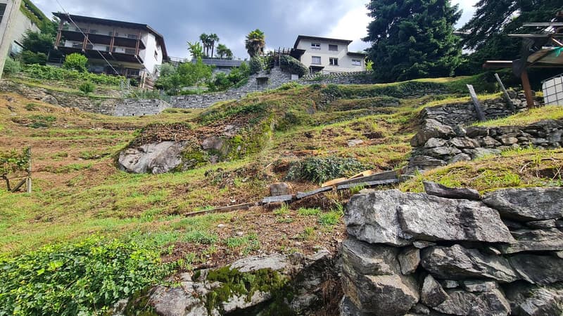 TRANQUILLO E SOLEGGIATO CON VISTA (2)