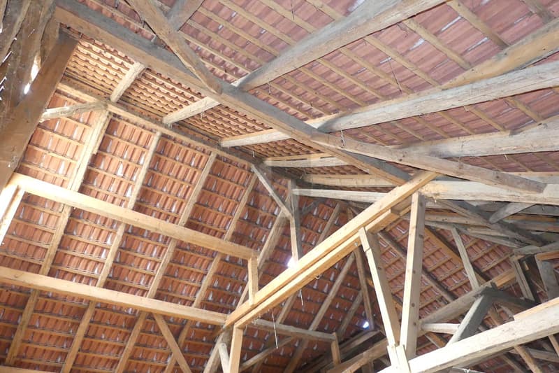 MAISON DE CAMPAGNE ( IDÉAL POUR ANIMAUX ) (5)