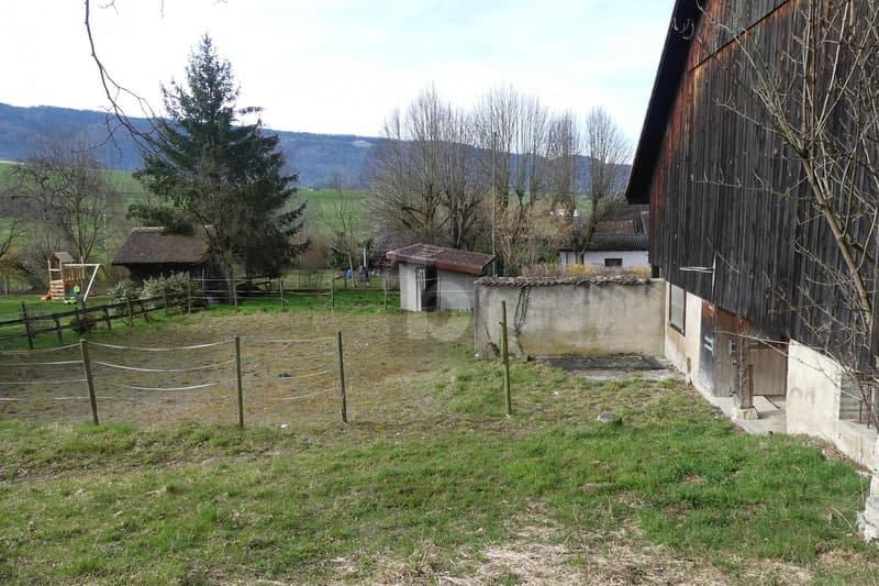 MAISON DE CAMPAGNE ( IDÉAL POUR ANIMAUX ) (2)