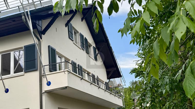 NEU RENOVIERT UND HOCHWERTIG AUSGESTATTET (1)