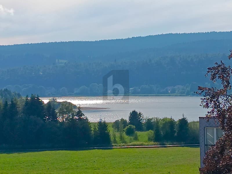 LUMINEUX, SPACIEUX, PROCHE DU LAC ! (2)