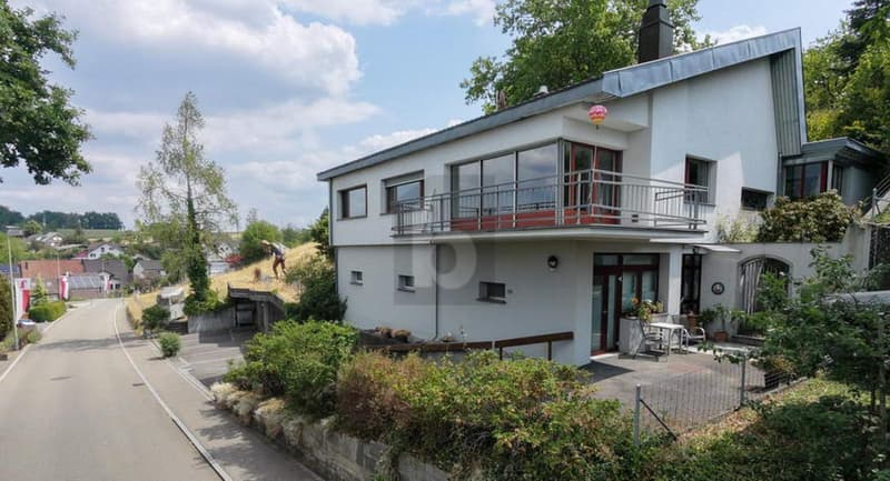 FAST WIE EIN EIGENES HAUS MIT GARTEN (1)