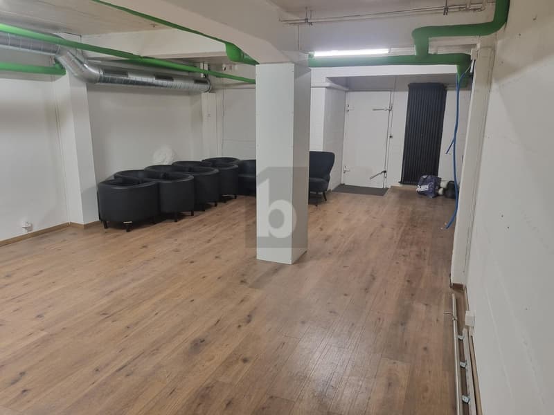 ESPACE D'EXCEPTION À FRIBOURG (5)