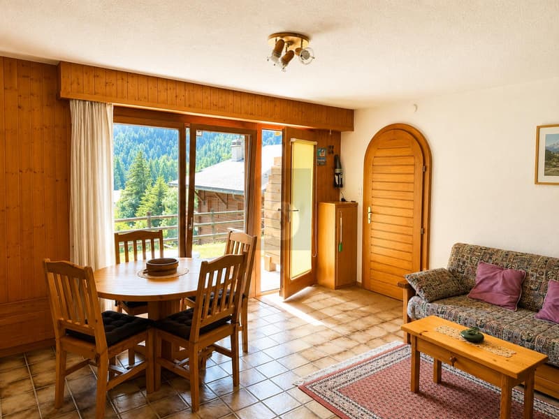 DEUX APPARTEMENTS EN UN LOT (2)