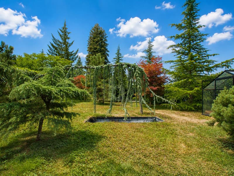 UNIKAT MIT SONNIGEM GARTEN! (5)