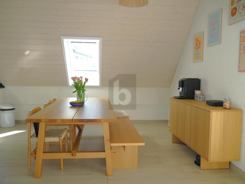 MODERNE, SPACIEUX, ET EN BORDURE DE NATURE ! (3)