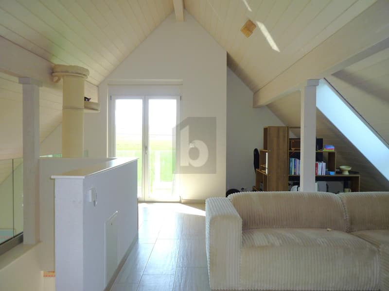MODERNE, SPACIEUX, ET EN BORDURE DE NATURE ! (5)