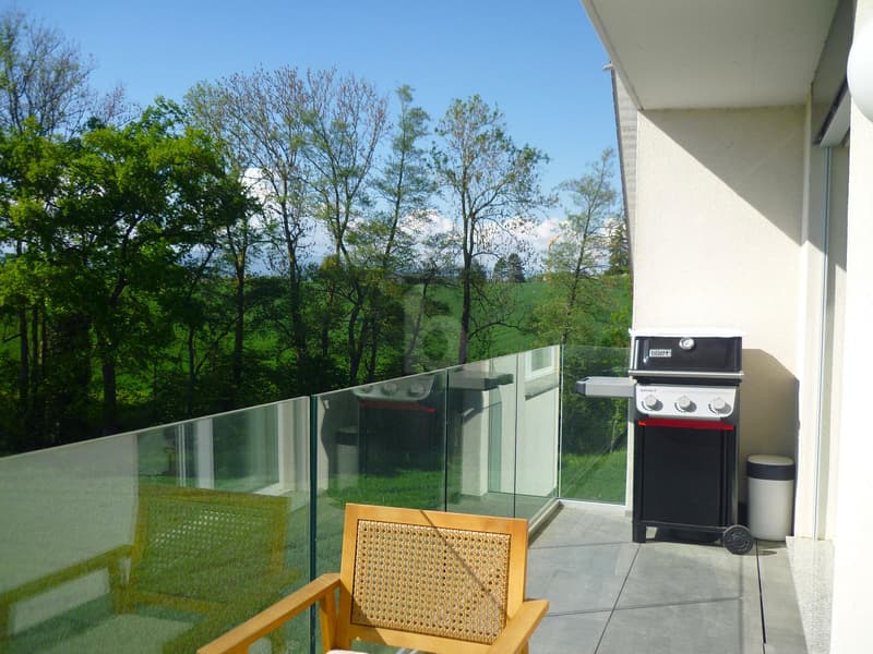 MODERNE, SPACIEUX, ET EN BORDURE DE NATURE ! (2)