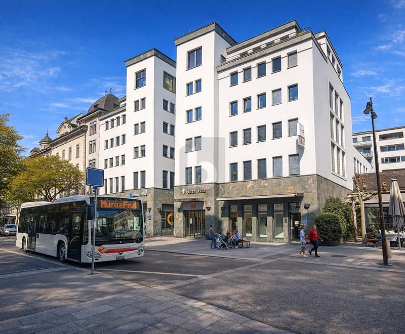 LUMINEUX, PRATIQUE ET CENTRAL (1)