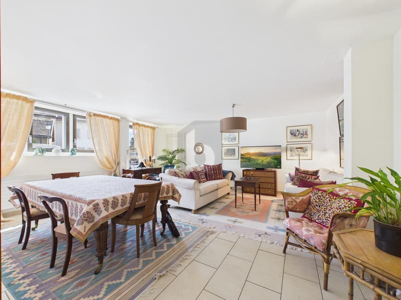ÉLÉGANT LOGEMENT MEUBLÉ AU CHARME CONTEMPORAIN (1)