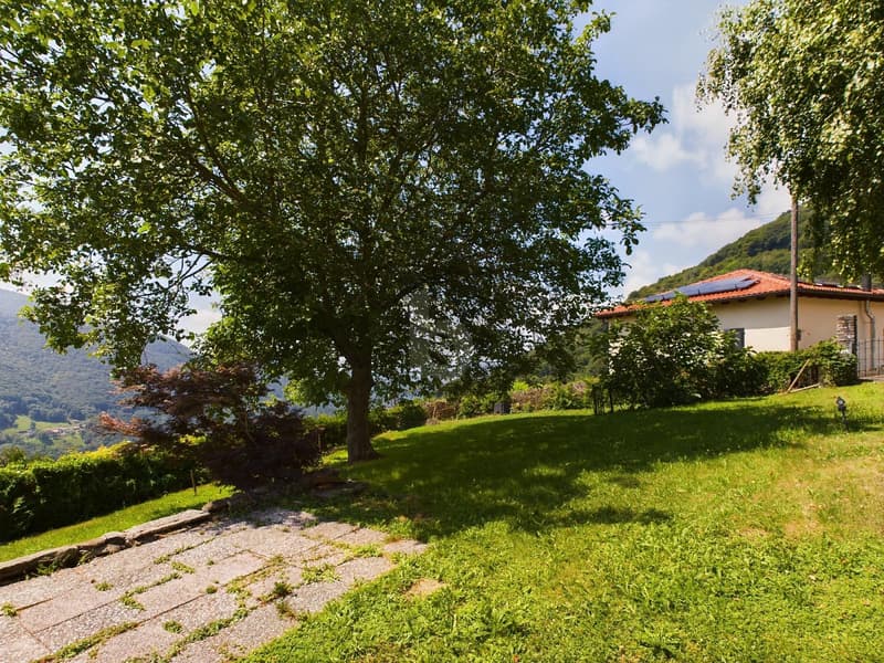 SOLEGGIATA CON AMPIO GIARDINO (1)