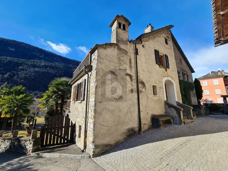 MERAVIGLIOSA TRA IL SOLE E LA NATURA (4)