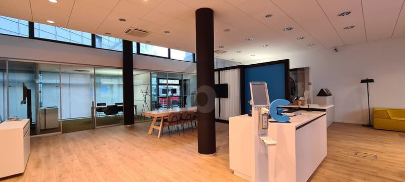 SPACIEUX ET AU CENTRE-VILLE (2)