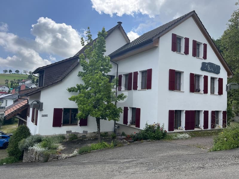 VIELSEITIGES UMBAUPOTENZIAL MIT GROSSER FLÄCHE (1)