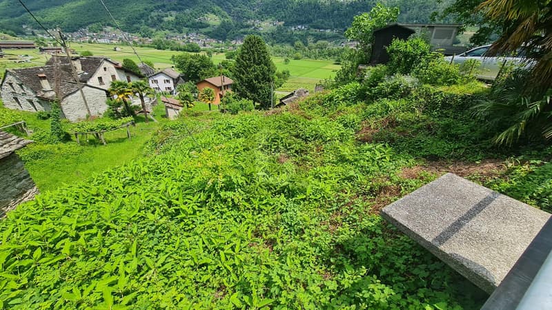 EDIFICABILE IN POSIZIONE SOLEGGIATA E CON VISTA APERTA (4)