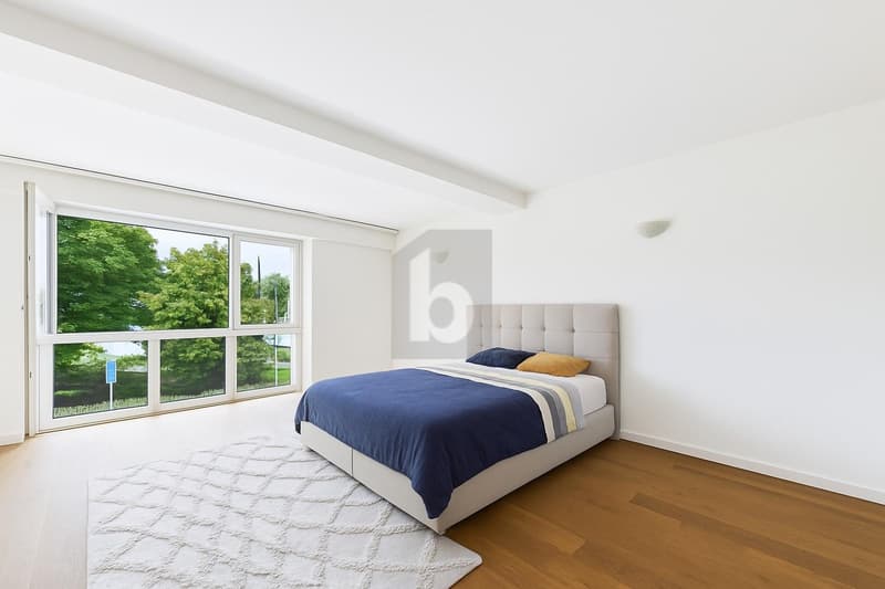 POUR INVESTISSEUR : AU COEUR DE MONTREUX AVEC VUE ! (2)