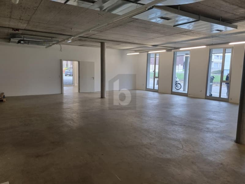 GRAND ESPACE, TRÈS BON EMPLACEMENT (2)