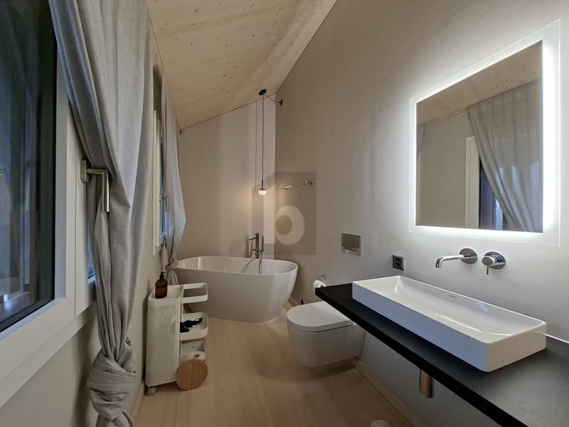 HIGH-END HAUS, EXKLUSIV, MÖBLIERT, BEZUGSFERTIG! (4)