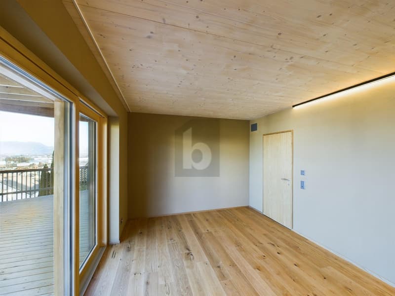 GEWALTIGES WOHNERLEBNIS AUF HÖCHSTEM NIVEAU (3)