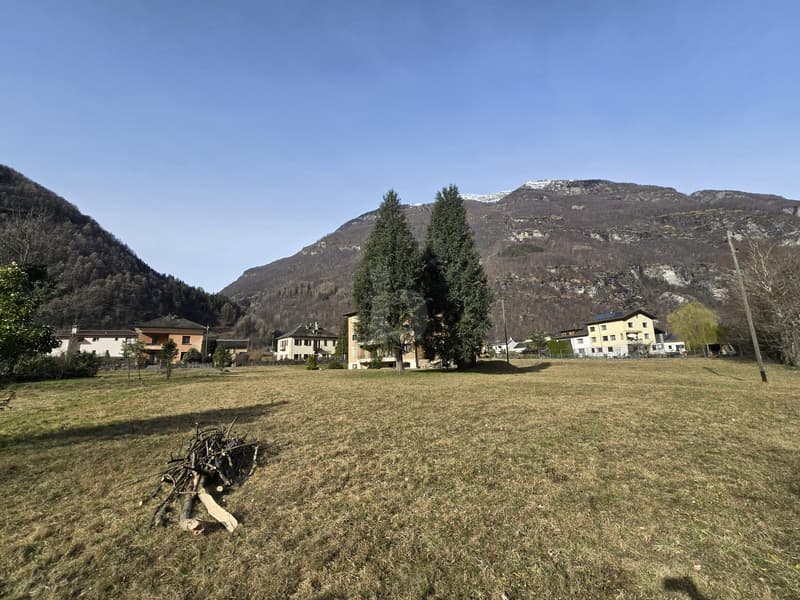 AMPIO E SOLEGGIATO IN POSIZIONE TRANQUILLA (3)