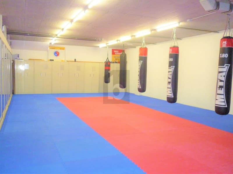 SALLE DE SPORT MULTIFONCTIONS (3)