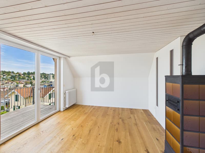 DACHTERRASSE UND BALKON AN ZENTRALER LAGE (1)