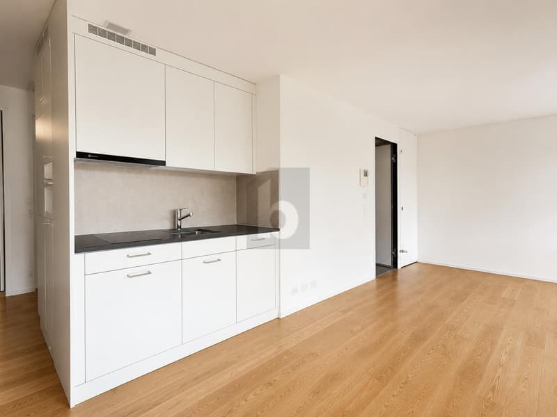ARBEITEN NAHE ZÜRICHSEE (4)
