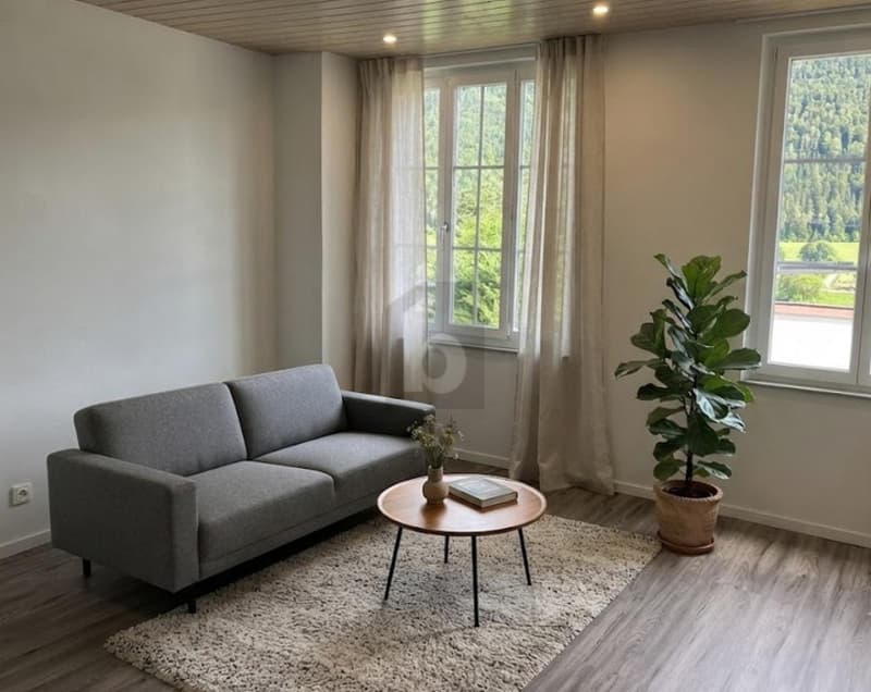 RÉNOVÉ, SPACIEUX ET LUMINEUX (2)