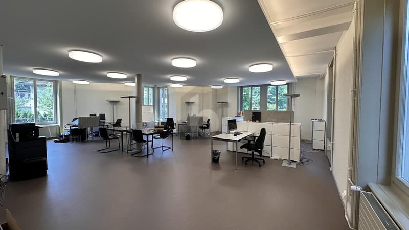 REPRÄSENTATIV AN ZENTRALER LAGE (2)