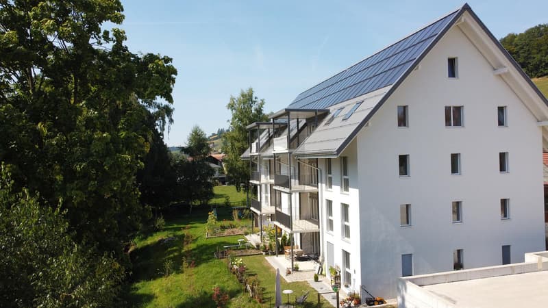 NACHHALTIGER NEUBAU IM GRÜNEN (5)