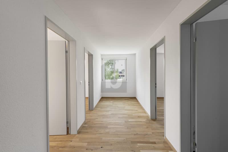 NACHHALTIGER NEUBAU IM GRÜNEN (4)