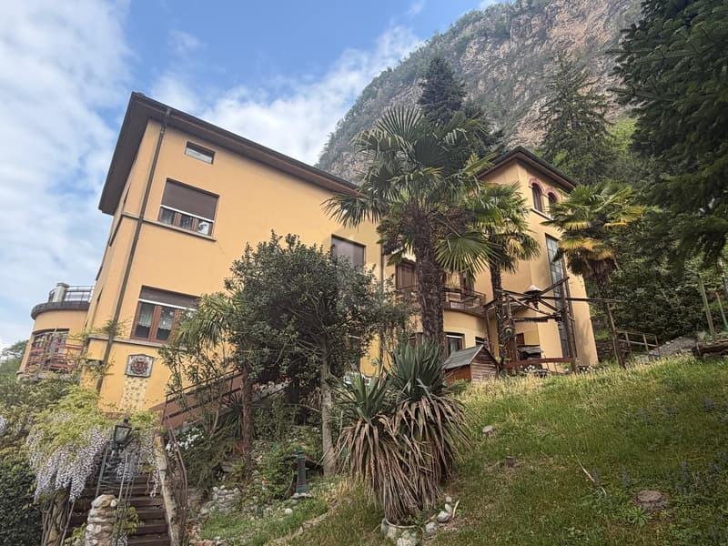 GRANDE DA RESTAURARE POSIZIONE TOP (1)