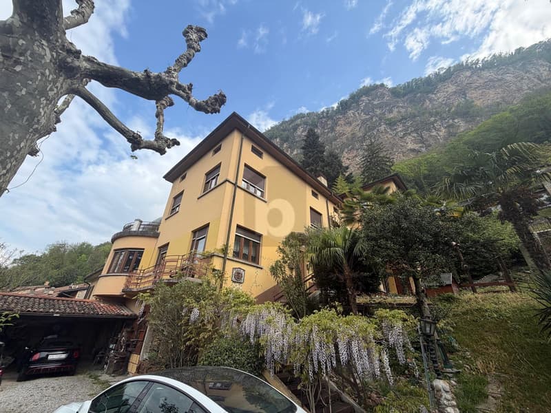 GRANDE DA RESTAURARE POSIZIONE TOP (2)