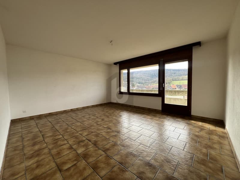 APPARTEMENT PRATIQUE ET LUMINEUX À CHEVENEZ (4)