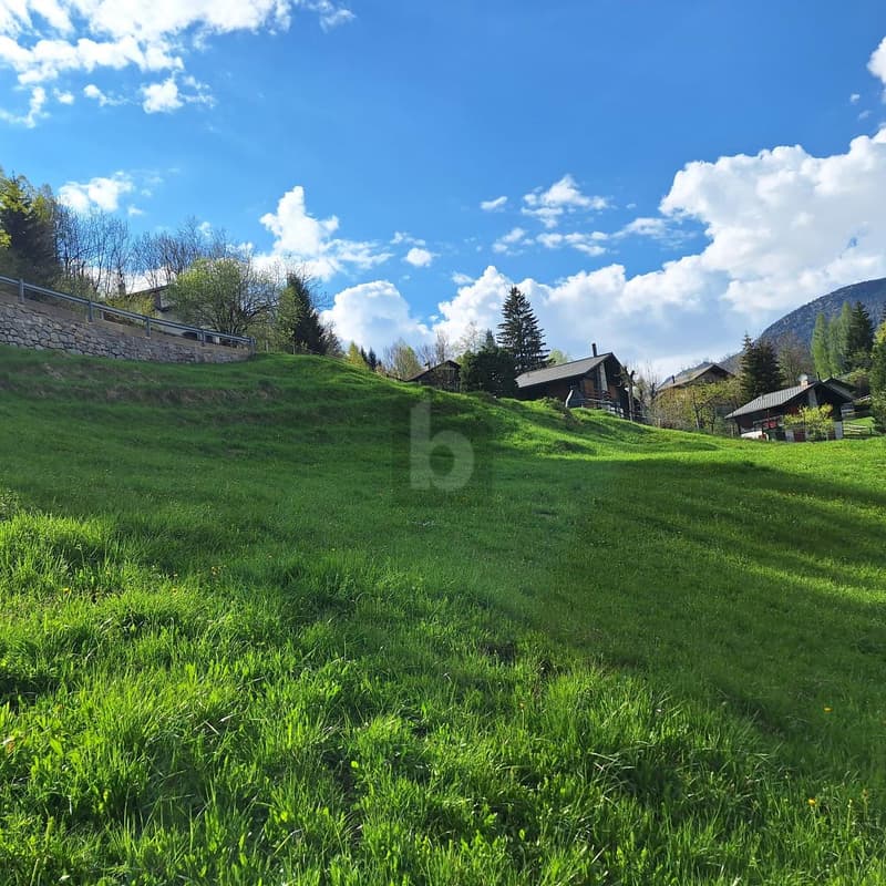IN POSIZIONE TRANQUILLA E SOLEGGIATA CON VISTA (4)