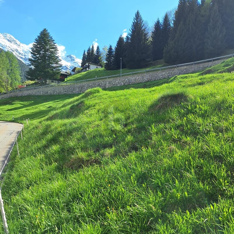 IN POSIZIONE TRANQUILLA E SOLEGGIATA CON VISTA (5)