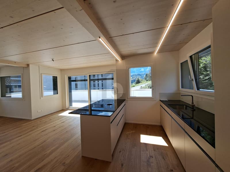 ZUKUNFTSORIENTIERTES ENERGIEEFFIZIENTES TRAUMHAUS (3)