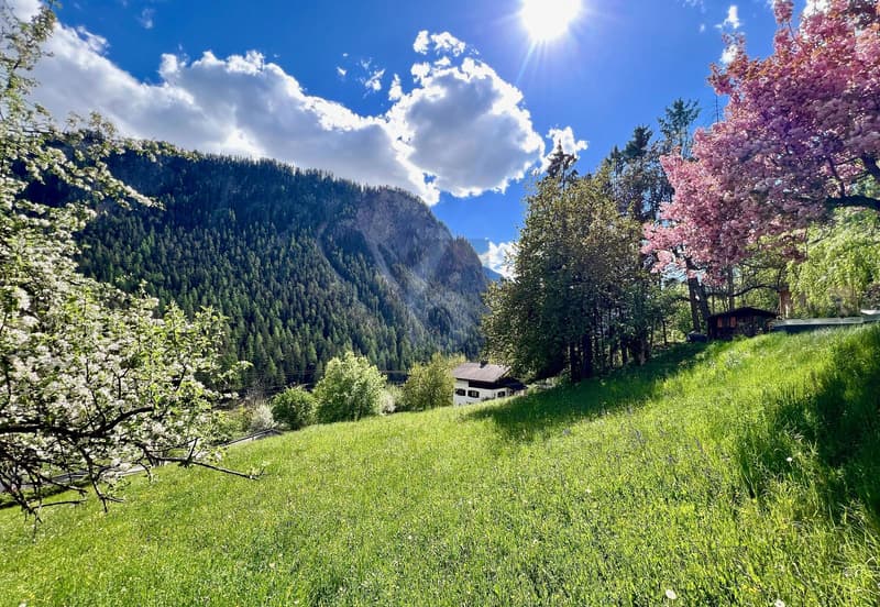AN EINMALIGER UND SONNIGER LAGE MIT BAULANDRESERVE (1)