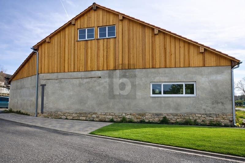 GRANGE DE CARACTÈRE AVEC PROJET DE MAISON (4)