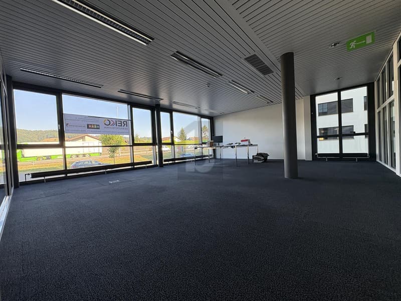 REPRÄSENTATIV MIT GLASFRONT (4)