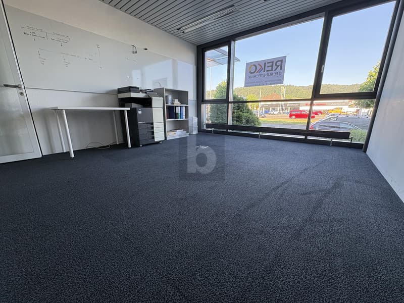 REPRÄSENTATIV MIT GLASFRONT (3)