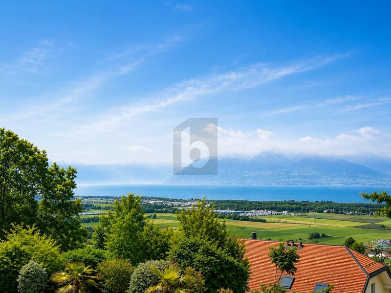 SPLENDIDE AVEC VUE PANORAMIQUE SUR LE LAC (1)