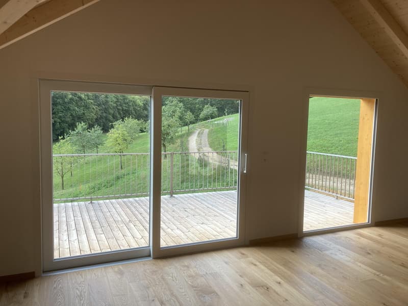 CHARMANT MIT WUNDERBAREM AUSBLICK (2)