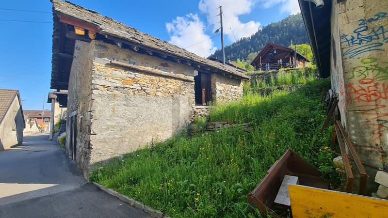 SOLEGGIATO, IN POSIZIONE TRANQUILLA (2)