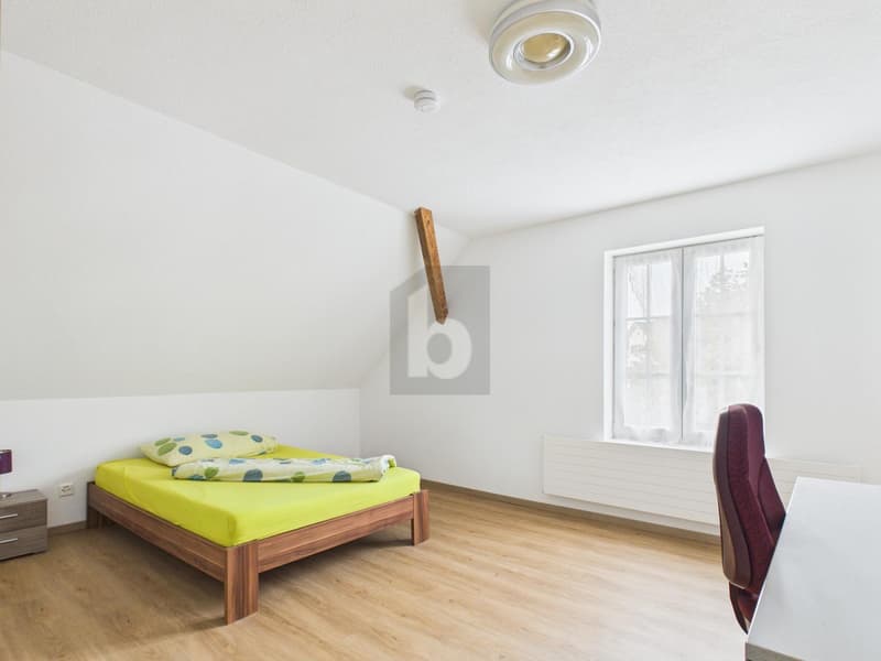 CASHCOW - BIS ZU 8% RENDITE! (3)