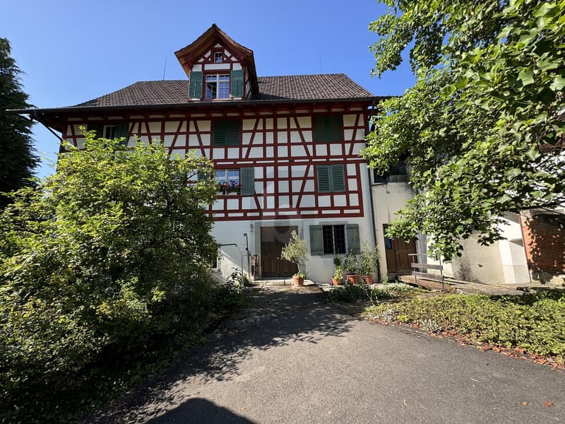 WOHNEN MIT CHARME UND CHEMINÉE (5)